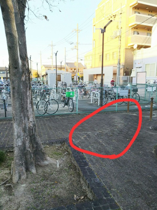 モリモリっと地面が盛り上がってきてる 河内磐船駅前ロータリーのところ 交野タイムズ