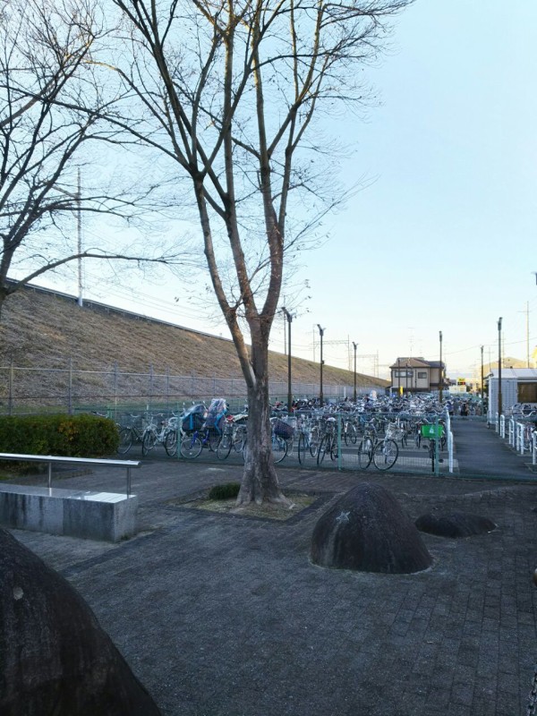 モリモリっと地面が盛り上がってきてる 河内磐船駅前ロータリーのところ 交野タイムズ