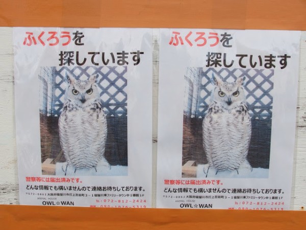 JR星田駅で『ふくろう』を探しているようです！～ロータリー横の掲示板