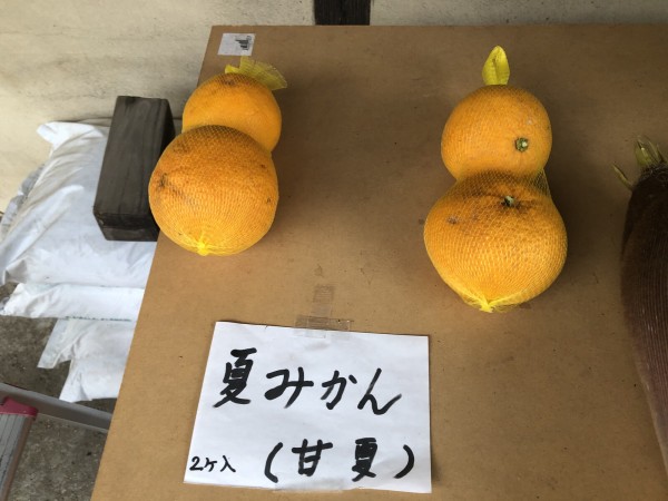 私市の無人販売所。その向こう側には本当に「タケノコがあります」のか