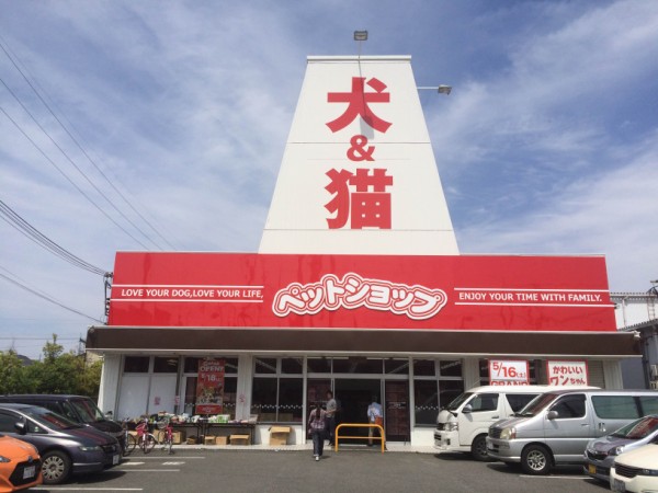 ペットショップ 犬の家 っていうお店がnewオープンしてる ブックマーケットがあった私部西線 梅が枝のところ 交野タイムズ