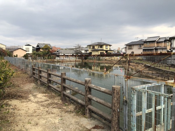 何が出る！？「池の水ぜんぶ抜く大作戦」の交野市倉治蓮池の放送