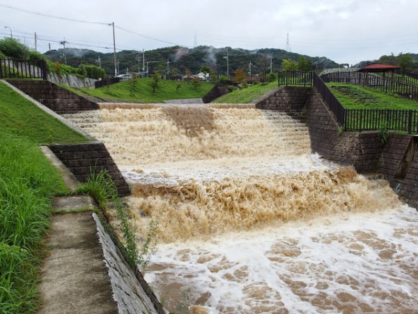 台風11号の影響で 天の川 がどえらい増水してたので行ってみた 私市水辺プラザ その 交野タイムズ