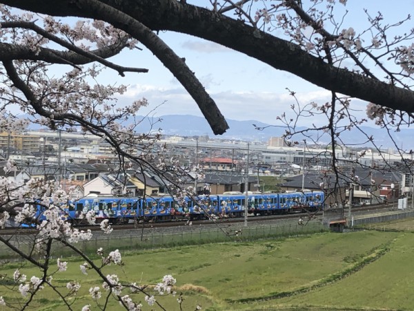 私市駅のホームにトーマスオリジナルグッズが販売されてる！〜改札前にはトーマスがおる映えスポットも登場〜 : 交野タイムズ