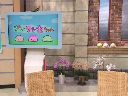 クイズ テレ金ちゃんを探せ I I G A I N E 片山津温泉
