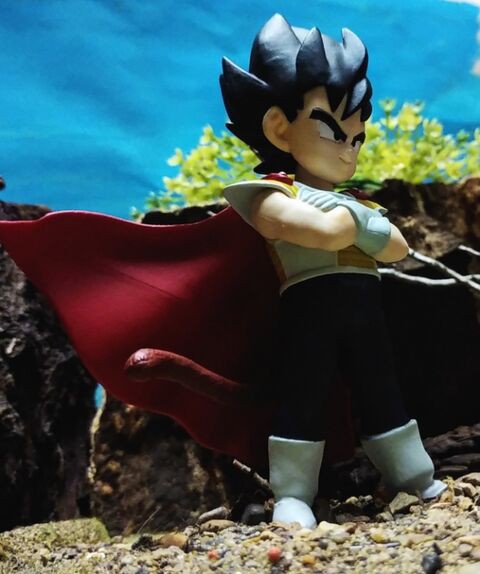 ドラゴンボール［一番くじ ドラゴンボールZ サイヤ人襲来編 C賞