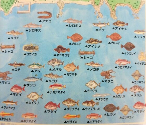 海のぬし釣り 宝島に向かって - メルカリ