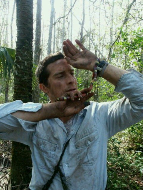 サバイバルゲーム MAN 伺う vs.WILD シーズン1からシーズン5 5巻組