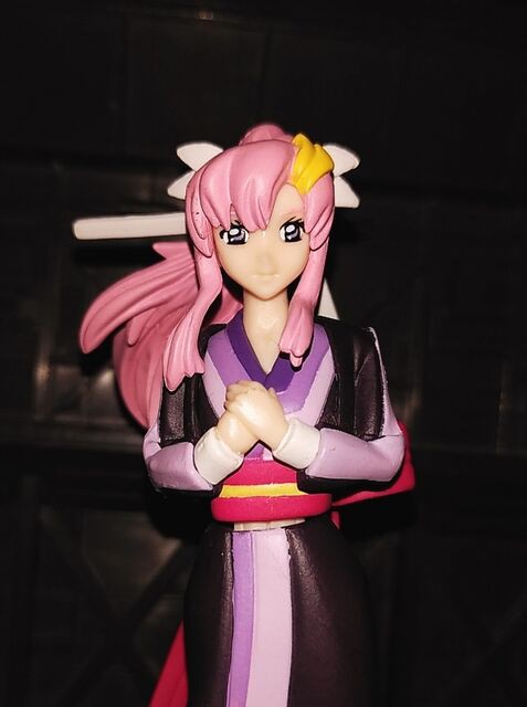 HGIF 機動戦士ガンダム SEED DESTINY ガンダムキャラクターズ 5