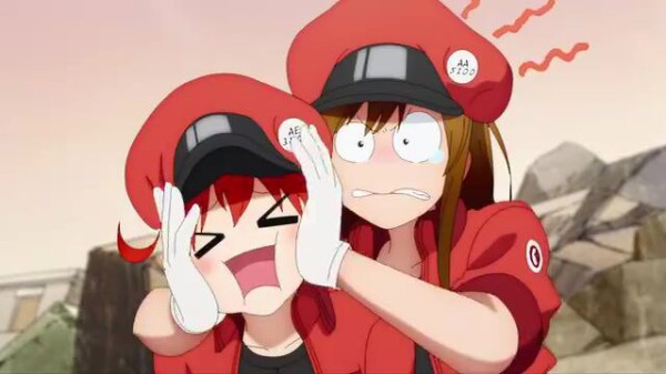 アニメ感想 21 01 23 土 はたらく細胞 第3話 はたらく細胞black 第3 5話 ニコパクブログ７号館