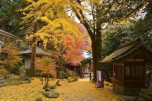 長安寺 紅葉 その１１ 勝手に花言葉 徒然なるままに