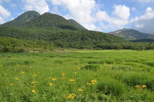 タデ原湿原 ヒメユリ 勝手に花言葉 徒然なるままに