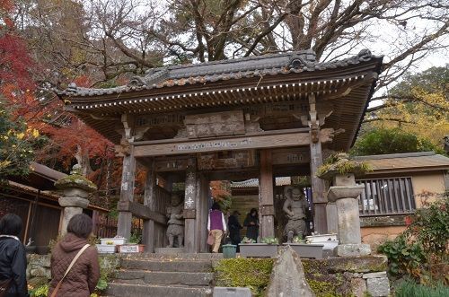 富貴寺 紅葉その１２ 勝手に花言葉 徒然なるままに