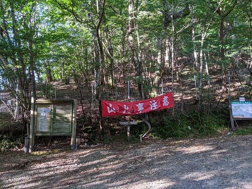 白岩山 キレンゲショウマ花盛 勝手に花言葉 徒然なるままに