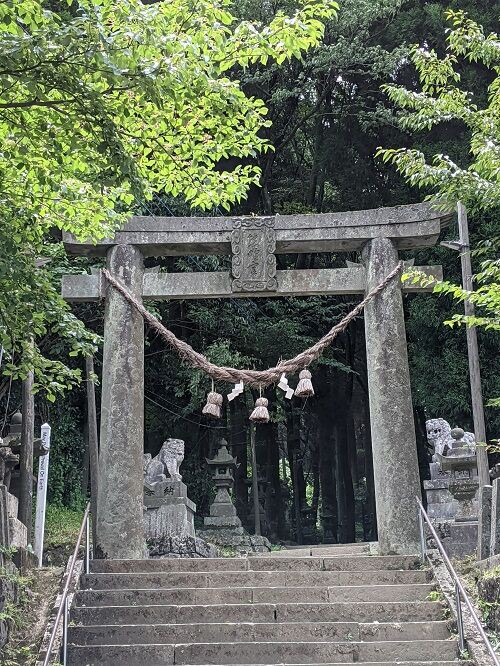 上色見熊野座神社 ギンバイソウ 勝手に花言葉 徒然なるままに