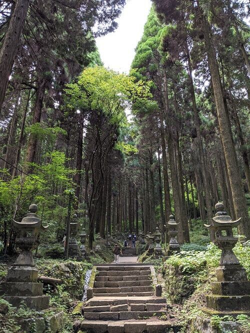 上色見熊野座神社 ギンバイソウ 勝手に花言葉 徒然なるままに