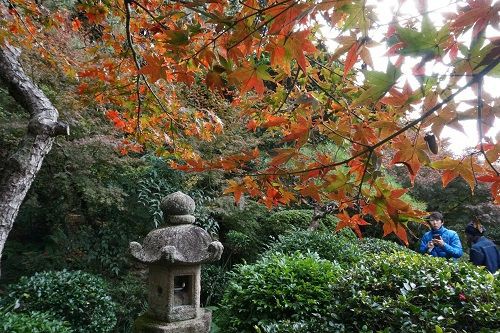 心田庵 眼鏡橋 紅葉その7 勝手に花言葉 徒然なるままに