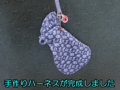 第２１羽 手作りハーネス 試作品 ツンデレ姫ちゃん完全攻略