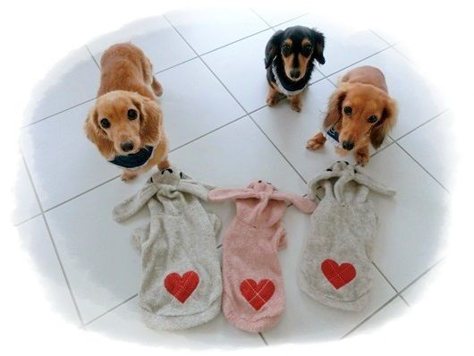 ダックスママ様確認用 撥水ステンカラーコート｜DAKS（ダックス）公式オンラインショップ