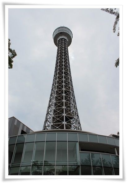 横浜マリンタワー The Bund ミニチュアダックスと遊ぼ