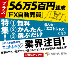 富裕層の職業と学歴 日本のお金持ち長者番付２０１０年版 為替王