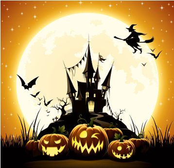 今日のポジション 11 5 為替王