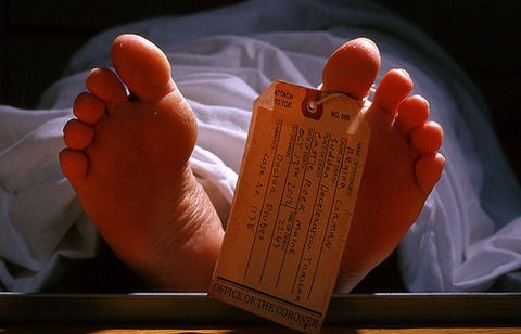 閲覧注意 人間の死体を販売してるけど なんか質問ある 骨 脳 皮膚 動物も Ask Me Anything 海外版 なんか質問ある