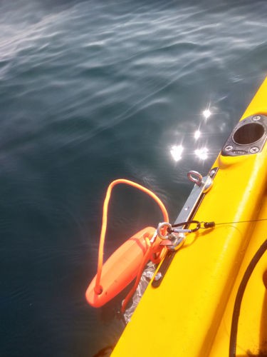 魚探振動子マグネットマウント（海の熊さん） : kayak55.com艤装魂