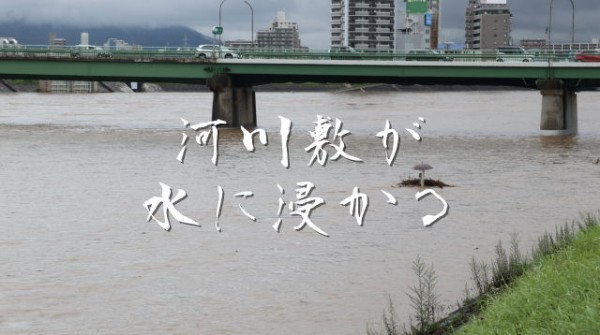 太田川河川敷が水に浸かる 気まぐればあちゃんの思いつき