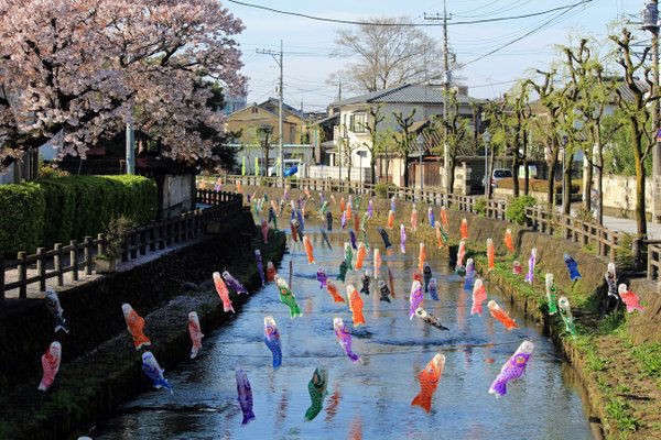 今年は634匹 うずまの鯉のぼり12 栃木市 別冊 ワンコイン的食べ歩き生活 の記録