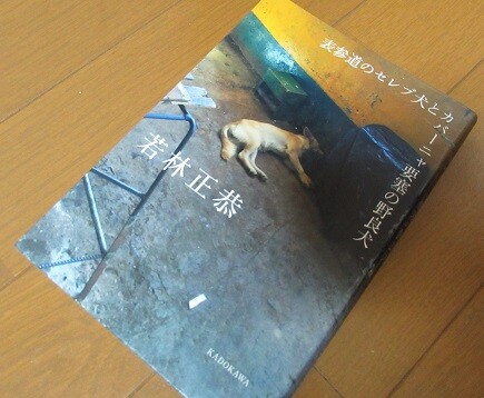 表参道のセレブ犬とカバーニャ要塞の野良犬 若林正恭著 1956 風がページをめくる 読書散歩