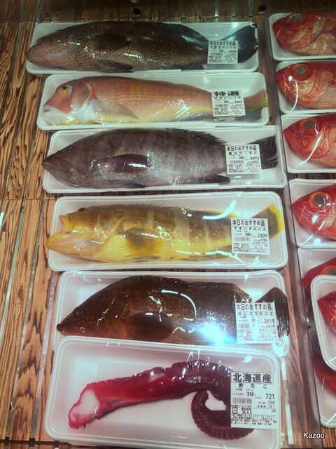 珍しい魚 はたオンパレード ご機嫌なひととき