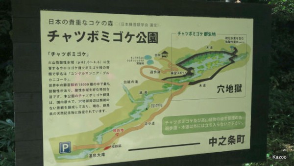 チャツボミゴケ公園 ご機嫌なひととき