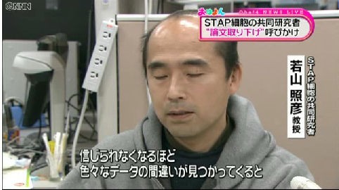 いまさら人に聞けない小保方晴子のstap細胞nature論文と捏造問題の詳細 その３ テラトーマの画像使い回しとキメラマウスを作った若山さんがキレる 金融日記