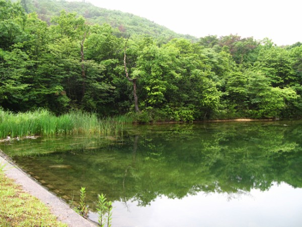 雨の中 野池でバス釣り Rock On