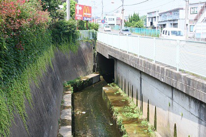 有馬川を巡る その7 Vaioちゃんのよもやまブログ