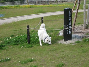 体当たり王子とおしゃべり王子 カズナル 鳥達の襲撃