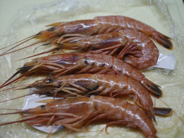 赤エビの炙り ユーリンチータレかけ ログハウスに住み 料理 野菜 家具作り