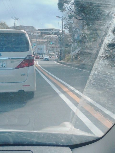 大田区下丸子の まるこ未来動物病院 へ 若だんなのチャリンコ道