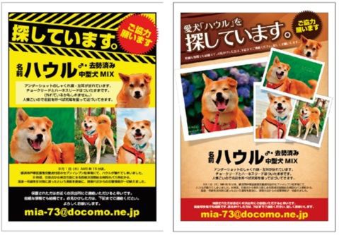 ハウルくん 捜索のお願い 足取りマップ追記 柴犬 トイプードルの くろくろまろまゆ