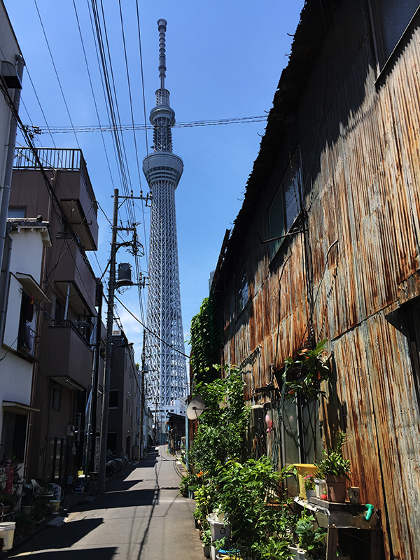 下町スカイツリー １ 東京下町美景