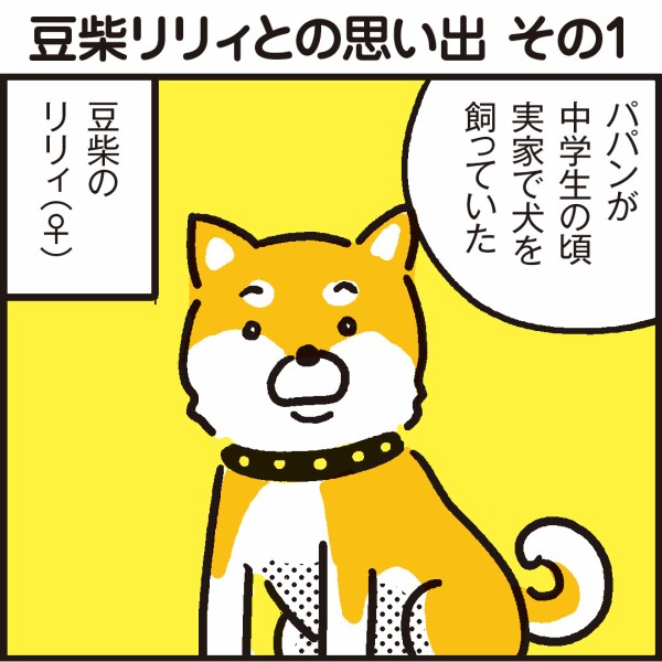 豆柴リリィとの思い出 その1 出会い 漫画 新ちびといつまでも 育児と 暮らしと 乳がんと Powered By ライブドアブログ