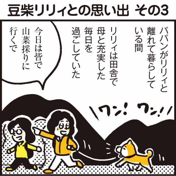 豆柴リリィとの思い出 その3 母が山で大ピンチ 漫画 新ちびといつまでも 育児と 暮らしと 乳がんと Powered By ライブドアブログ