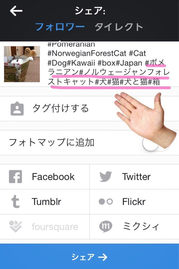 インスタグラム ハッシュタグの付け方 毛玉きょうだい Powered By ライブドアブログ インスタグラム ハッシュタグの付け方 毛玉きょうだい Powered By ライブドアブログ