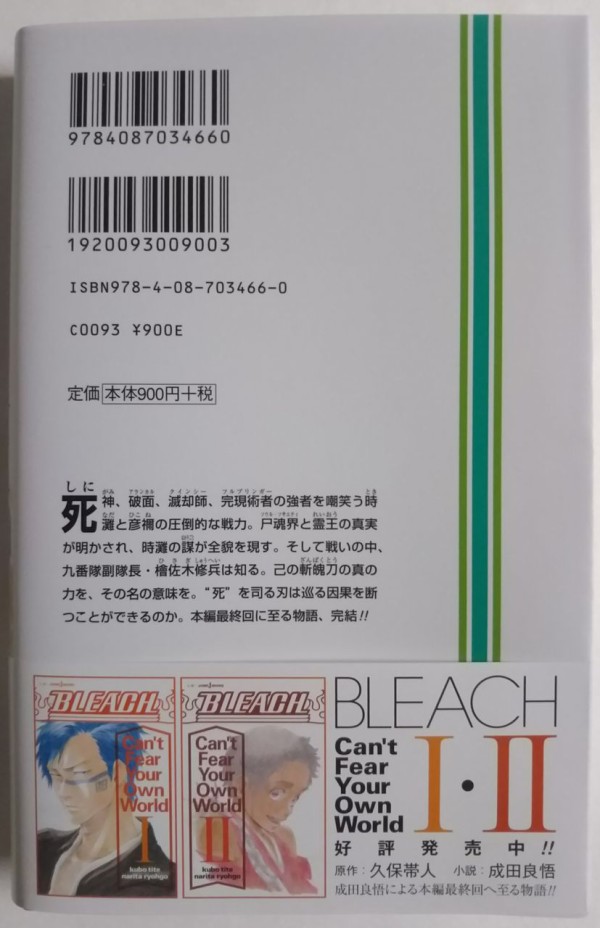 最終巻 漫画本編で未登場だった設定もあったりと豪華な小説 Bleach Can T Fear Your Own World Chaos Hobby Blog