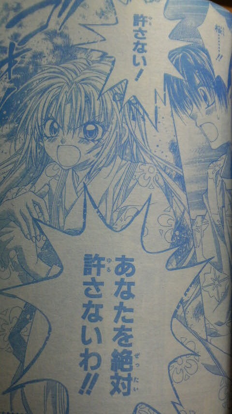 桜姫華伝 あらすじ 結末