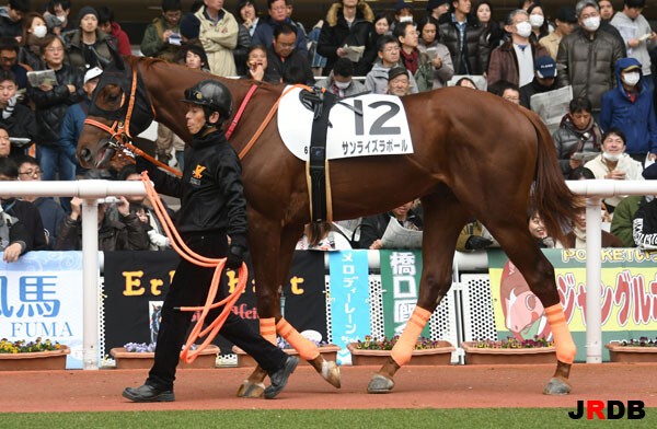 血統 馬体講座 サンライズラポール 競馬を100倍楽しむ方法 Jrdb ブログ