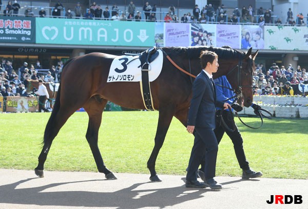 血統 馬体講座 サトノソロモン 競馬を100倍楽しむ方法 Jrdb ブログ