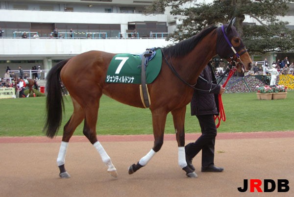 血統＆馬体講座】ジェンティルドンナ-シンザン記念 : 競馬を100