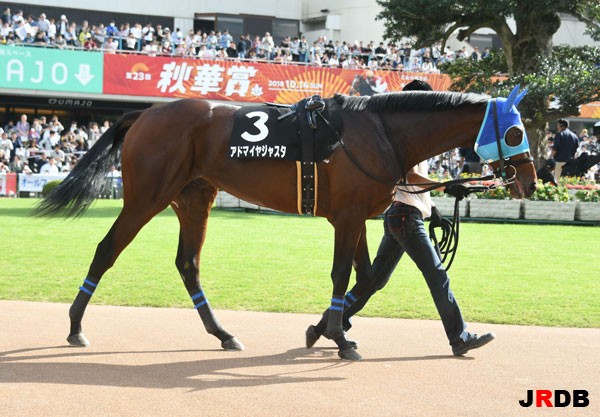 血統 馬体講座 アドマイヤジャスタ 紫菊賞 競馬を100倍楽しむ方法 Jrdb ブログ